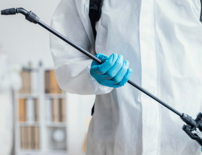 Protect Your Space! Critter Call Pest Control Explains Why Pest Control Matters